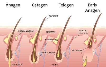 Cochrane Laser Hair removal 1